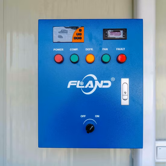 Carne congelata, frutti di mare, manzo, pollo, verdure, frutta, container walk-in, congelatore, celle frigorifere