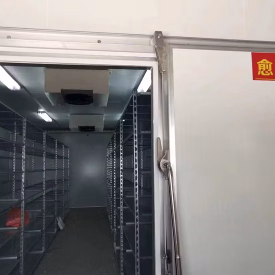 Frutta, verdura, carne, frutti di mare, medicine, gelati, surgelati, fabbrica, supermercato, magazzino, centro di distribuzione, celle frigorifere