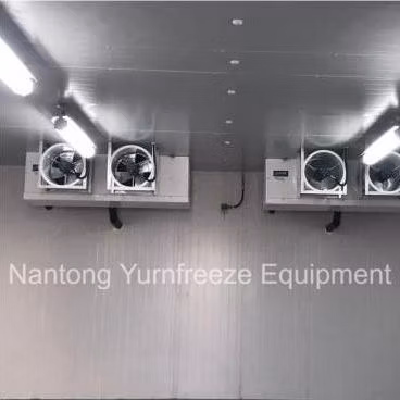 Congelatore/frigorifero/sala frigo con unità di refrigerazione a compressore per carne/verdura/pesce/frutta