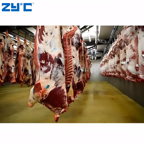 Cella frigorifera prefabbricata, walk-in, congelata per uso commerciale