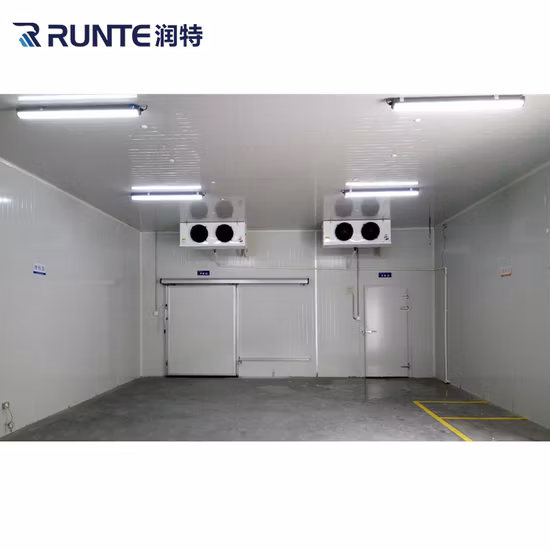 Marchio Runte approvato CE, nuovo design, frutta, verdura, aragosta congelata, frutti di mare, pesce, carne fresca, pollo, congelatore, celle frigorifere